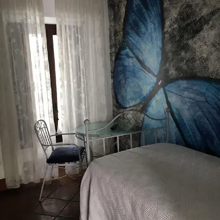 Casa De Naranjos