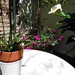 Boutique Puerta Del Rincon Hotel Cordoba