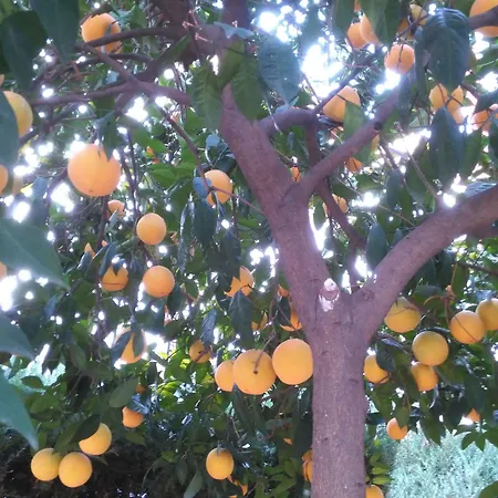 Готель Boutique Puerta Del Rincon