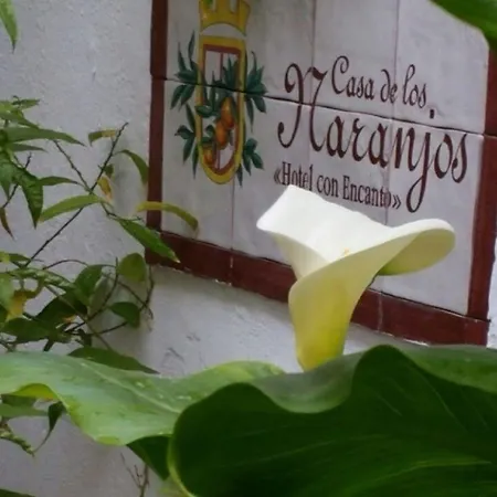 Boutique Puerta Del Rincon