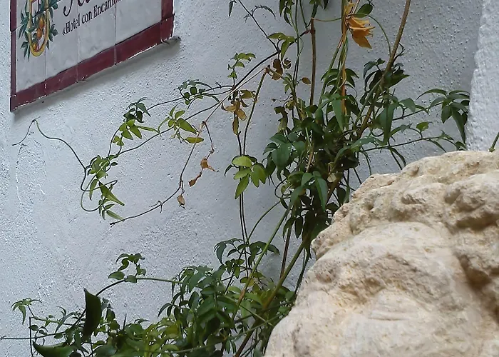 Hotel Boutique Puerta Del Rincón Córdova