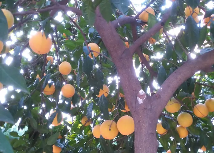 Hotel Boutique Puerta Del Rincón