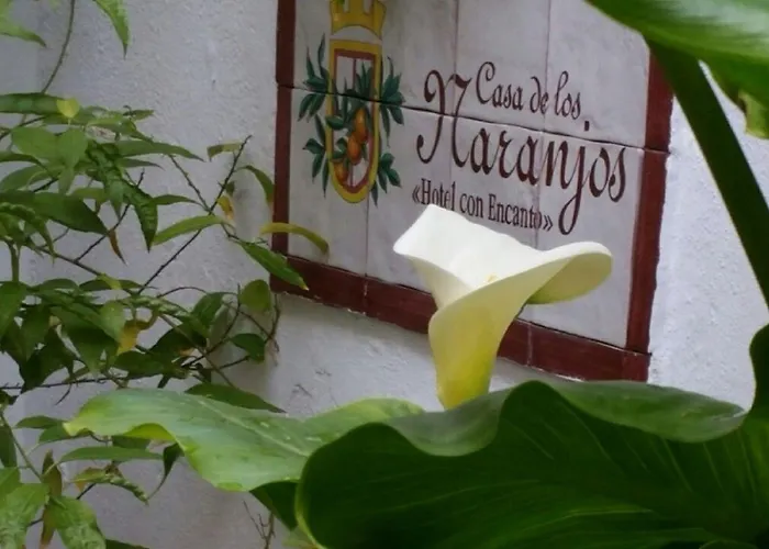 Hotel Boutique Puerta Del Rincón 2*