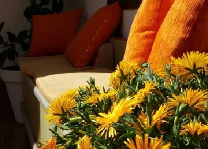 Boutique Puerta Del Rincon 2* Кордова