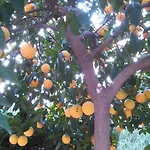 Szálloda Boutique Puerta Del Rincon