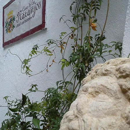 Hotell Boutique Puerta Del Rincon Córdoba