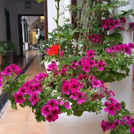 Hotell Boutique Puerta Del Rincon